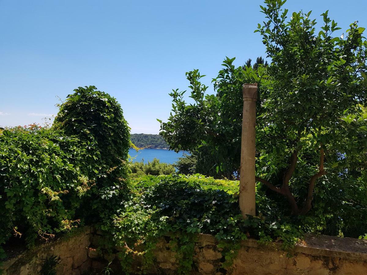 Palmera Dubrovnik